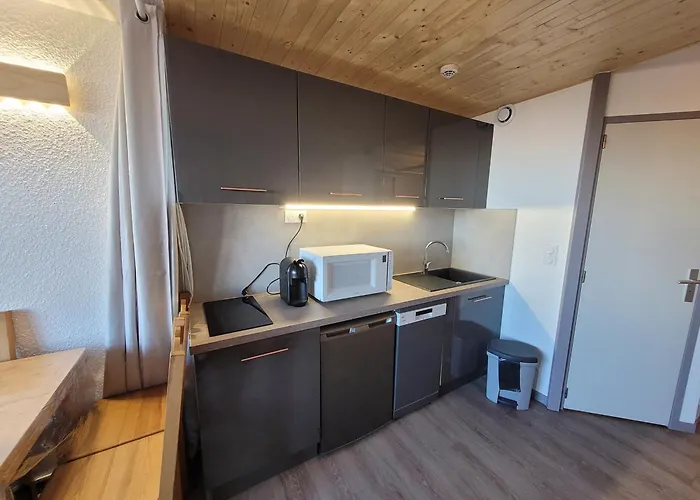 Rénové Et Fonctionnel · Pied Des Pistes · 4 Personnes - Fr-1-181-2609